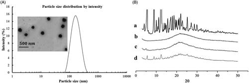 Figure 4. (A) Particle size distribution and TEM image of PTX-loaded LC-SA/CS-SA micelles; (B) the XRD curves of paclitaxel (a), PTX-loaded LC-SA/CS-SA micelles (b), PTX-free (blank) LC-SA/CS-SA (c), and physical mixture containing PTX and lyophilized blank LC-SA/CS-SA micelles (d).