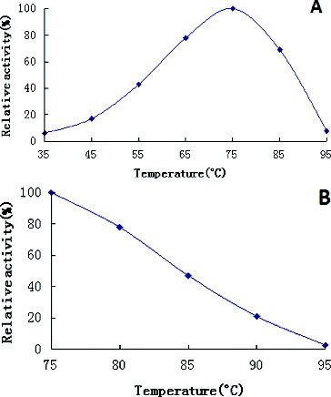 Figure 3. Effects of temperature on recombinant β-galactosidase activity (A) and stability (B).