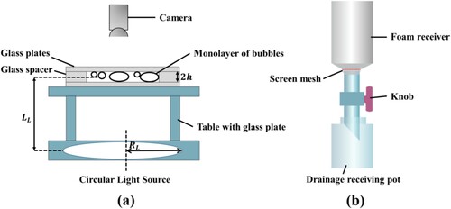 Figure 3. (a) Setup of the apparatus for bubble size measurement. (b) Schematic diagram of the liquid drainage apparatus.