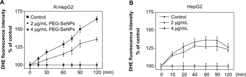 Figure 8 (A and B) Induction of superoxide anion generation in R-HepG2 and HepG2 cells by PEG-SeNPs.Abbreviations: R-HepG2, drug-resistant hepatocellular carcinoma; DHE, dihydroethidium; HepG2, hepatocellular carcinoma; PEG-SeNPs, polyethylene-glycol-nanolized selenium nanoparticles.