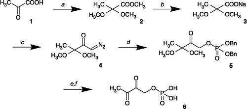Scheme 1 Reagents and conditions: a. HC(OCH3)3, H2SO4 (methanol). b. 2M aq. NaOH / CH3OH. c. Oxalyl chloride, CH2N2 (ethyl ether). d. Dibenzyl phosphate (toluene). e. (1) H2-Pd/C 10% (methanol), (2) cyclohexylamine (methanol). f. H+-Dowex resin (water).