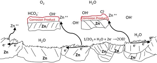 Figure 8. Schematic representation of the corrosion process resulting in remnant Zn.