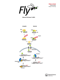 Cover image for Fly, Volume 15, Issue 1, 2021