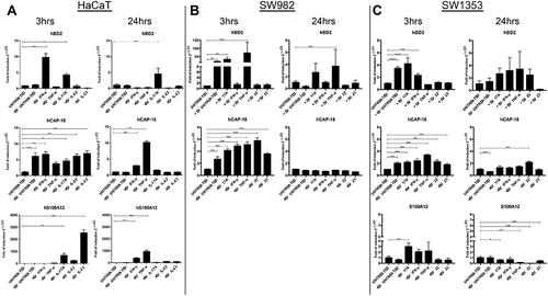 Figure 6 Different cytokine treatments modify the mRNA expression for hCAP-18, hBD2 and hS100A12 in HaCaT acceptor cells. The mRNA expression for hCAP-18, hBD2 and hS100A12 was evaluated in the EV-treated acceptor HaCaT (A), SW982 (B) and SW1353 cells (C) in comparison to untreated acceptor cells by Real Time RT-PCR. Cells were incubated for 3h and for 24h with EVs collected from supernatant of cytokine-treated HaCaT cells. Subsequently, RNA was extracted, retro-transcribed and Real time RT-PCR performed as described in Materials and Methods. Data represent means ± s.d. of three independent experiments. ***P ≤ 0.001; **P ≤ 0.01; *P ≤ 0.05.