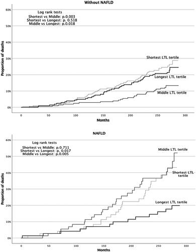 Figure 2. Kaplan–Meier plot for hazard of death according to telomere tertiles in both NAFLD and non-NAFLD populations. For NAFLD the risk of death was statistically lower in the longest segment whereas of non-NAFLD the middle segment was of lowest risk. NAFLD: nonalcoholic fatty liver disease.