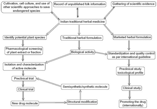 Figure 1 Strategy for advancement and integration of traditional herbal medicine into modern medicine.