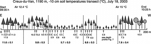 FIGURE 6.  The spatial variability of 10 cm depth soil temperature across a 200 m east-west transect across dwarf tree and reference forest stands (manual measurements). Readings were taken from east to west and then backwards from west to east within 50 min, a period during which air temperature increased from 12.4 to 15°C