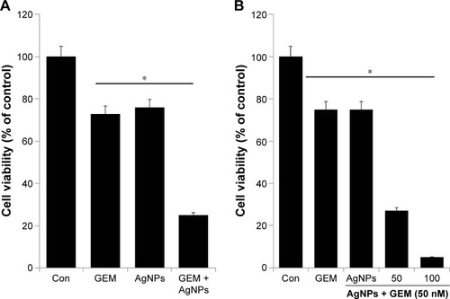 Figure 3 The effect of combined treatment with GEM and AgNPs on cell viability in human ovarian cancer cells.Notes: (A) A2780 were incubated with GEM (50 nM) and AgNPs (50 nM). (B) A2780 cells were incubated with a combination of different concentrations of AgNPs (50 and 100 nM) and a fixed concentration of GEM (50 nM) for 24 h. The results are expressed as the mean ± standard deviation of three separate experiments. Differences between the treated and control groups were measured using Student’s t-test. Statistically significant differences between the treated and control group are indicated by (*P<0.05).Abbreviations: AgNP, silver nanoparticle; Con, control; GEM, gemcitabine.