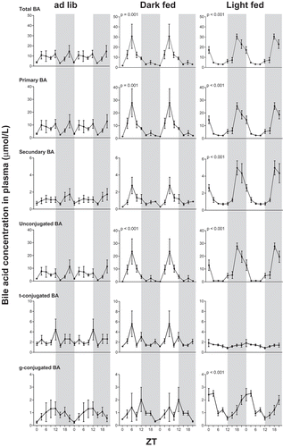 Figure 1. Plasma bilogram in rats: effect of timing of food intake on daily plasma bile acid concentrations. Food was available 24 h ad lib (left column), 10 h during the dark period (dark fed, middle column) or 10 h during the light period (light fed, right column). Grey background indicates the dark period and time is shown as ZT. p values are given for statistical significant rhythms as tested by JTK software. BA: bile acids; t: taurine; g: glycine. Note the differences in Y-axis scaling.