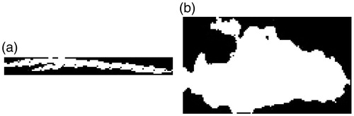 Figure 8. The projection of the NT VOI on the sagittal plane and NT plane. (a) The projection on the sagittal plane. (b) The projection on the sagittal plane.