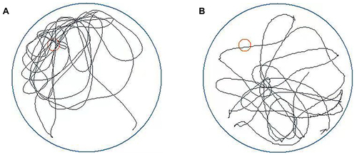 Figure 1 Morris water maze experiment (spatial exploration experiment), the red circle in the figure indicates the position of platform. (A) Rats of the control group. (B) DEACMP rats.