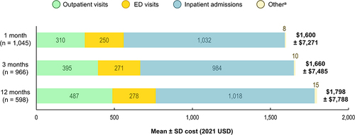 Figure 5 HZ-related mean per-patient medical costs in the PsA+/HZ+ cohort during the first 1, 3, and 12 months after index.