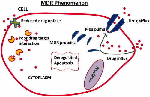 Figure 1. Illustration depicts multidrug resistance (MDR) mechanisms in cancer cells. Enhanced drug efflux, expression of MDR proteins, reduced drug uptake, poor drug target interaction and deregulated apoptosis are some of the important mechanisms.