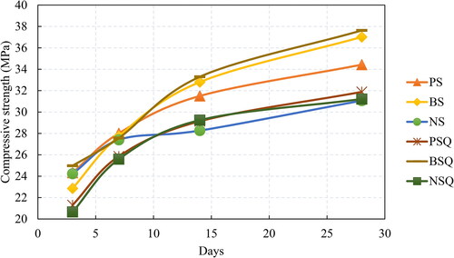 Figure 11. Relationship between the curing ages and the compressive strength.