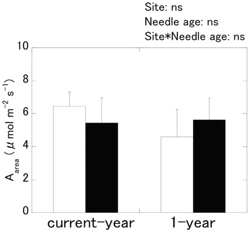 FIGURE 1. Photosynthetic rate per unit area (Aarea ) at 2000 µmol m-2 s-1 photosynthetic photon flux density for current-year and one-year-old needles from the wind-exposed site (▪) and the windprotected site (□). The measurements were conducted in the laboratory (see text). Means and SDs are shown (n = 4 for currentyear needles, and n = 6 for one-year-old needles). The P-values are the statistical significance based on generalized linear model (GLM) analysis. Data for the current-year needles are derived from Nagano et al. (Citation2009).