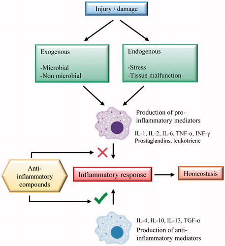 Figure 2. Anti-inflammatory targets of compounds in the inflammatory response.