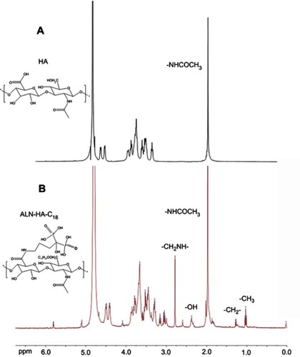 Figure 2 1H NMR spectrum of (A) hyaluronic acid (HA) and (B) alendronate-hyaluronic acid-octadecanoic acid (ALN-HA-C18).