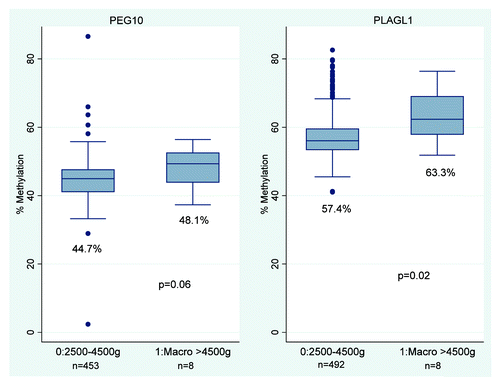 Figure 3. Infant methylation at PLAGL1 and PEG10 for high birth weight infants. Figure 3 shows the median and IQR of infant methylation levels at the PEG10 and PLAGL1 DMRs for high and normal birth weight infants. High birth weight is associated with increased methylation at the PLAGL1 DMR, Wilcoxon rank sum p = 0.02, and at the PEG10 DMR, Wilcoxon rank sum p = 0.06.