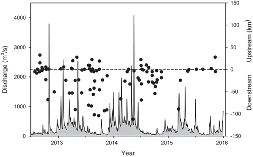 FIGURE 4. Mean daily freshwater discharge (m3/s) measured at USGS gauge 01646500 on the Potomac River, Maryland, near Washington, D.C. from July 2012 to December 2015, and the distance and direction Blue Catfish moved from the release location (black circles) on the Potomac River.