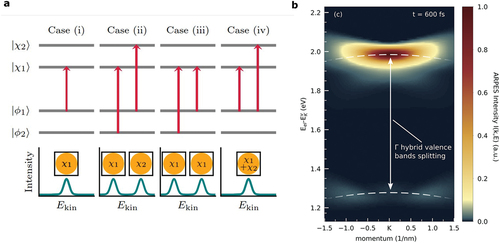Figure 4. The multi-orbital nature of excitons can be identified in the photoemission spectroscopy experiment. Kern et al. (a) and Meneghini et al. (b) found that multi-orbital excitons lead to more complex trARPES fingerprints, with one peak for each unique final-state binding energy of the hole. Panel a is reproduced from ref.  [Citation83]. Copyright 2023 by the American Physical Society. Panel b is reproduced with permission from ref.  [Citation132]. Copyright 2023 American Chemical Society.