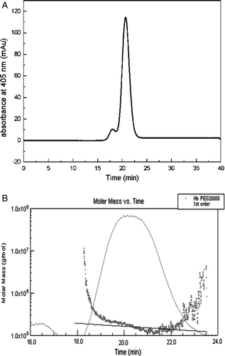 Figure 6.  HPSEC-MALLS chromatograms analysis of PEG20kDa-modified hemoglobin by solid adsorption method. The samples were loaded on a Superdex 200 gel filtration column with 50 mM sodium phosphate containing 0.15 M sodium chloride (pH 7.4) as the mobile phase at a flow rate of 0.5 ml/min. A was the result of the first peak (F1) by HPSEC; B was the result of the first peak (F1) by HPSEC-MALLS.