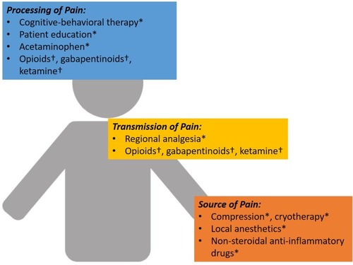 Figure 1 A simple paradigm for applying a multimodal analgesic strategy taking into consideration the source, transmission, and processing of the expected surgical pain; *= Routine and should be available to all patients unless contraindicated; †=Not routine and given only as indicated.