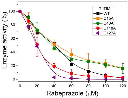 Figure 7. Effect of Rbz on the enzymatic activity of TcTIM WT and single mutants of Cys. All recombinant enzymes were incubated at 0.2 mg/mL and were exposed to increasing concentrations of the drug Rbz for 2 h at 37 °C. At the end of the incubation time, an aliquot was taken, and enzyme activity was measured by the coupled assay system as reported in the Material and Methods section. Black and orange squares correspond to WT and the C15A mutant, respectively; green and red circles correspond to the C118A and C40A, respectively; and the purple triangles correspond to the C127A mutant. Results represent the average of four independent biological experiments.