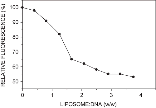 Figure 3.  Ethidium intercalation assay. Incubation mixture (0.5 ml) contained pGL3 DNA (6 µg), ethidium bromide (1 µg), and increasing amounts of biotinylated cationic liposomes in HBS.