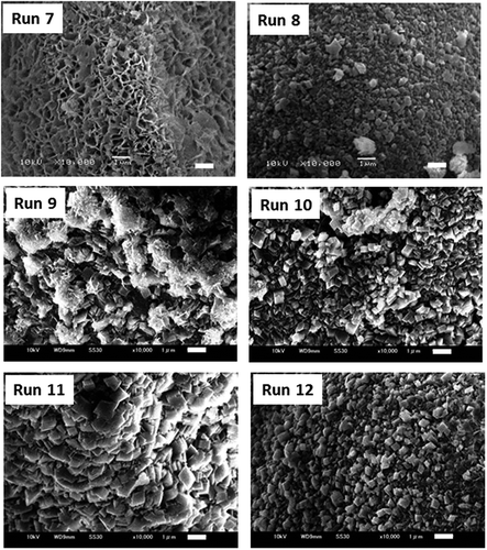 Figure 5. SEM photographs of each product in Table 2. (bar = 1 µm)