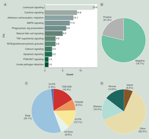 Figure 1. Description of the inflammatory methylome. Frequency of the 61 cis-eMS defining the inflammatory methylome by (A) inflammatory subpathway; (B) correlation between DNA methylation and gene expression; (C) physical distribution and (D) CpG island and neighborhood context.eMS: Expression methylation site.