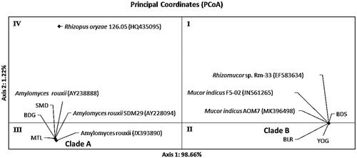 Figure 6. Distribution pattern of ragi isolates using Principal Coordinates Analysis (PCoA) based on ribosomal genes ITS1/ITS2.