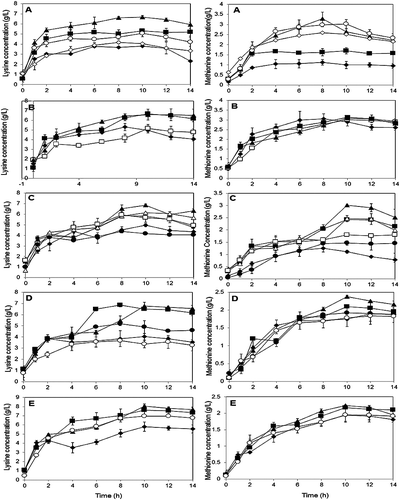 Figure 1. Optimization by OFAT on P. pentosaceus RF-1 responses to produce lysine and methionine. (A) Effect of molasses (♦) 1 g/L, (■) 3 g/L, (▴) 5 g/L, (○) 10 g/L, (◊) 12 g/L; (B) effect of nitrogen sources (♦) yeast extract, (□) peptone (▴) PKC (■) fish meal; (C) effect of fish meal (♦) 1 g/L, (■) 3 g/L, (▴) 5 g/L, (∆) 10 g/L, (□) 15 g/L, (•) 20 g/L; (D) effect of glutamic acid (♦) 0.1 g/L, (■) 0.3 g/L, (▴) 0. 5 g/L, (•) 1 g/L, (○) 5 g/L; (E) effect of initial medium pH (♦) pH 5, (■) pH 6, (▴) pH 7, (○) pH 8.