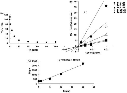 Figure 2. Inhibition kinetics of T4 on the activity of UGT1A1. (A) Concentration-dependent inhibition of T4 on the activity of UGT1A1. Each data point represents the mean value of duplicate experiments. (B) Lineweaver–Burk plot to determine the inhibition kinetic type of T4 on UGT1A1. Each data point represents the mean value of duplicate experiments. (C) The second plot to determine the inhibition kinetic parameter (Ki). The vertical axis represents the slopes of the lines in the Lineweaver–Burk plot, and the horizontal axis represents the concentration of T4.