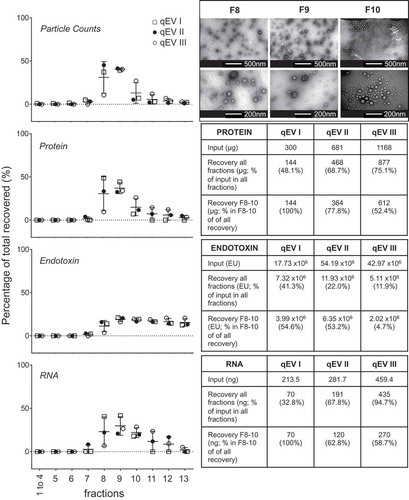 Figure 4. Fractionation of UPEC RF crude MVs using qEV size separation columns. Three biological replicates of crude MVs isolated from UPEC 536 grown with iron supplementation (RF) were fractionated by SEC. qEV I and qEV III were performed using new qEV columns, whereas qEV II was separated on the washed qEV column after the fractionation of qEV I. Particle counts, protein, RNA and endotoxin in each fraction as a percentage of all recovered are graphed. Recovery of all fractions, relative to input and amount of molecules in the vesicle enriched fractions F8–F10 are tabulated to the side. Transmission electron microscopy of representative fractions F8–F10 are inset in the top right hand corner with two magnifications per fraction shown.