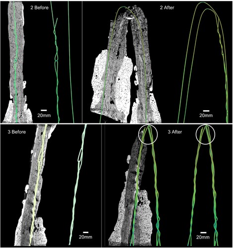 Figure 11. XRT images of sample groups 2 (top) and 3 (bottom) before and after testing. The steel wire has been highlighted in green and is pictured both in isolation and within the plaster matrix. (Note: sample group 9 was not imaged as this was essentially the looped design but with double thickness provided by the twisted wires).