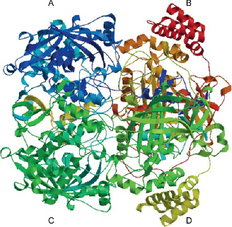Figure 2. Predicted 3D-structure of CsCAT3 protein.