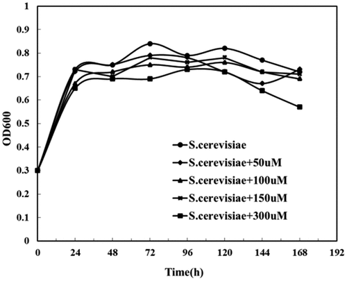 Figure 7. Changes of OD600 of Saccharomyces cerevisiae under different riboflavin concentrations