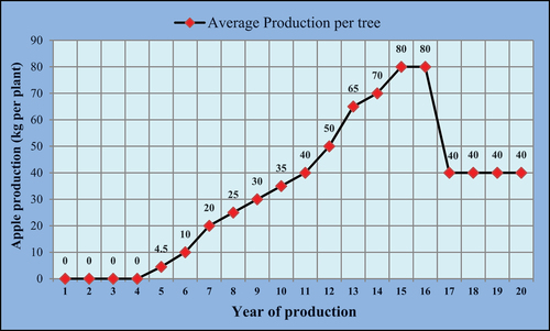 Figure 3. Average apple production per plant per year in the study areas of Darchula district, 2022.