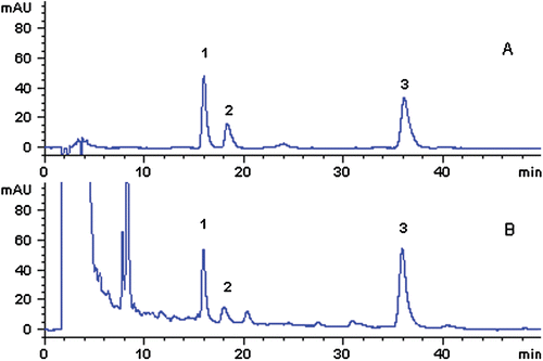 Figure 2.  HPLC chromatograms of reference standards (A) and SMT sample (B) separated on an Agilent ZORBAX SB-C18 column (250 × 4.6 mm, 5 µm) (1: synephrine; 2: arecoline; 3: norisoboldine).