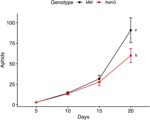 Figure. 3. Population built-up (mean ± standard error) of M. euphorbiae on Solanum lycopersicum cv. Monemymaker (MM) and NahG. Aphid multiplication was monitored for 20 days. Different letters indicate significant differences in aphid multiplication according to a Generalized Mixed Linear Model with a Poisson error structure, p ≤ 0.001, n = 10.