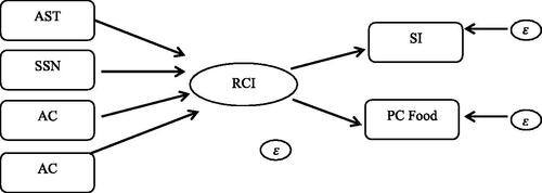 Figure 1. The MIMIC conceptual framework.