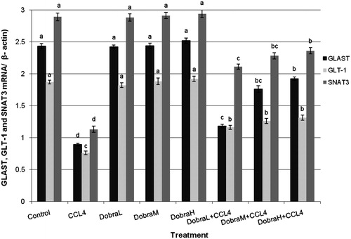 Figure 3. The alteration of GLAST, GLT-1 and SNAT3-mRNA in liver tissues of male rats exposed to CCl4 and/or D. glabra leaves extract. DGE: D. glabra extract, DGE L: 50 mg/kg bw, DGE M: 100 mg/kg bw and DGE H: 200 mg/kg bw of D. glabra extract. Data are presented as mean ± SEM. a,b,c,d, are significantly different (p ≤ 0.05).