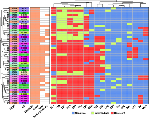 Figure 1 Phylogenic analysis between antimicrobial susceptibility, molecular sequences typing and resistance determinant.