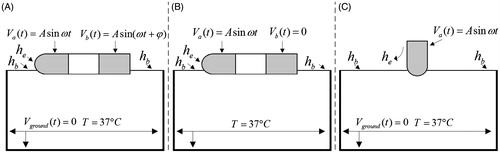 Figure 3. Electrical and thermal boundary conditions of the models: (A) phase shift mode, (B) bipolar mode and (C) unipolar mode.