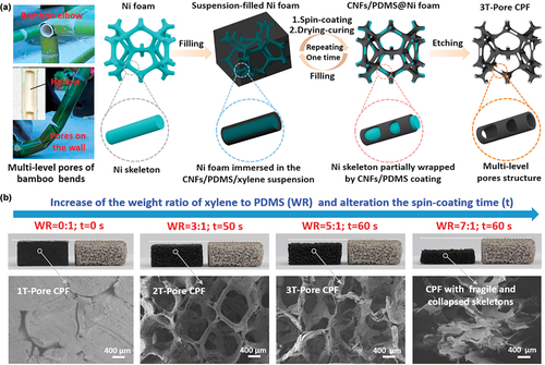 Figure 16. (a) schematic for fabrication process of the 3T-pore CPF via simply adjusting the coating viscosity (the weight ratio of xylene to PDMS) and applying the spin-coating process. (b) the photos and SEM morphologies of prepared CPF samples with different pore structures under different processing conditions (Dai et al. Citation2021). Reprinted with permission from (Dai et al. Citation2021); copyright 2021 Elsevier.