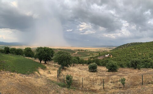 Figure 4. Rain cloud over fields of wheat in Lake Marmara, June 2021. Photo courtesy of author.
