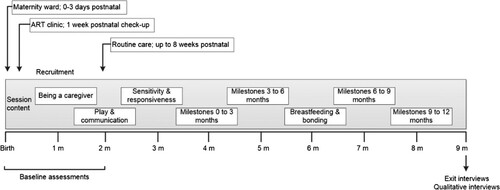 Figure 1. 9-month integrated CCD and Option B+ Program.