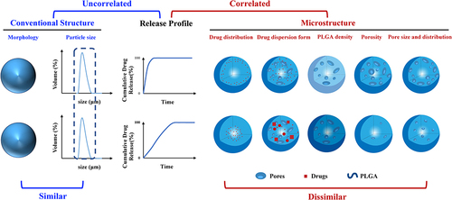 Figure 1 Correlation between conventional structure/microstructure factors and the release of drugs from two compositionally equivalent LAI microspheres.
