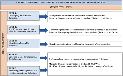 Figure 1. Validation of the items through a five-step operationalisation process.