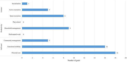 Figure 1. Bar chart presenting the classification of goals set by participants. The bar chart displays the number of goals set within each category of the COPM [Citation29] (i.e. leisure, productivity, and self-care). All categories are divided into sub-categories each presented with the number of goals set.